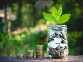 wiedzy finansowej